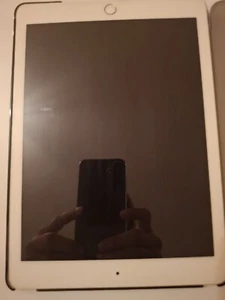 IPAD AIR2 In Gold 64GB Neuwertig! Kaum Verwendet, Neuer Akku! - Bild 1 von 4