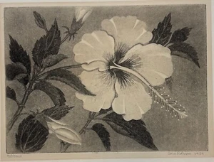 Original 1934 ANNA ROBISON 'Hibiskus' Blume CALIFORNIA Arts & Crafts AQUATINT - Bild 1 von 12