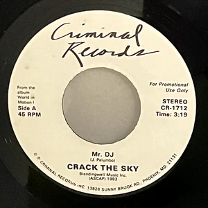 Crack the Sky Promo Mr. DJ / Needles And Pins Rare 45 Vinyl with Picture Sleeve - Picture 1 of 5