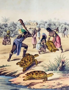 Escena de Caza 1857 - Grabado Original Coloreado a Mano con Picaporte (04420) - Imagen 1 de 2