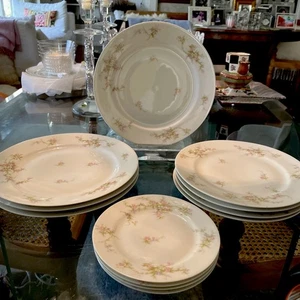 12 Theodore Haviland Limoges France Teller Schleiger rosa Rosen Lavendelblüten - Bild 1 von 14