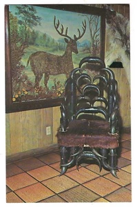 BUCKHORN HALL OF HORNS Rattler Deer Buffalo Chair San Antonio Postcard TX 1967 - Picture 1 of 2