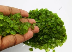 Natural 177 Ct GREEN Peridot ROUGH CERTIFIED Loose Gemstone Lot - Picture 1 of 8