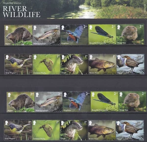GB 2023 River Wildlife Presentation Pack 636 & Set of Stamps PHOS ERROR U/M - Bild 1 von 1
