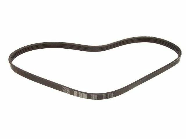 Alternador y bomba de agua Multi Rib Belt se adapta a Scion iQ 2012-2015 GAS 26VMVK Foto 1 de 1