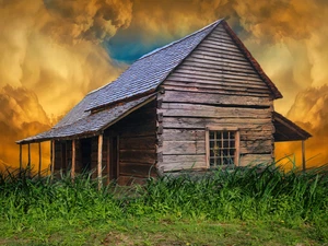 Farm Rustic Cattle Cowboy High Quality Canvas/Photo Paper PA91 - Picture 1 of 6