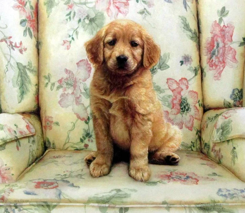 Soft Spot By Sueellen Ross Signed and Numbered Art Print  Image Size 15  x 13.5 - Image 1 of 1