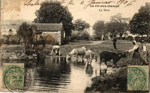 La vie au champs - La mare - Bild 1 von 1