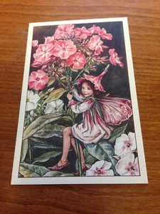 Cicely Mary Barker Flower Fairy Postcard - Phlox Fairy - NEW - Picture 1 of 1