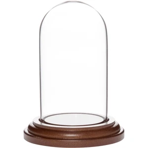 Plymor 1,85 Zoll x 3,5 Zoll Mini Glas Display Kuppel Cloche (dunkler Holzsockel) - Bild 1 von 3