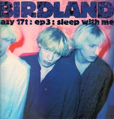 Birdland(12" Vinyl P/S)Sleep With Me-Lazy-LAZY 17T-UK-1990-VG+/NM - Image 1 of 2