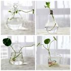 Horticulture The Glass Vase Hydroponic Container Hydroponic Vase Vase