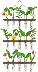 Propagation Station, Wall Hanging Planter Terrarium Retro 3 Tiered Propagation T - Picture 1 of 12