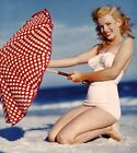 A Marilyn Monroe Red And White Umbrella 8x10 Photo Print