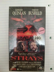 Strays - Picture 1 of 1