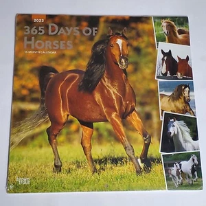 BrownTrout, 365 Days of Horses 2023 Wall Calendar Equestrian Horse Lovers Art - Picture 1 of 7