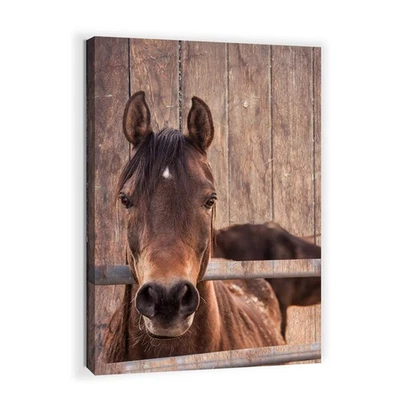 Лошадь тематический настенный художественный принт - холст 16x24 дюйма, современный дизайн для ванной, кровати... - Изображение 1 из 4