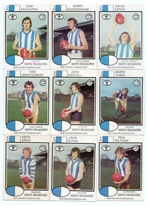 1975 Scanlens FULL Team Set NORTH MELBOURNE 13 Cards - Unmarked CHECKLIST - Picture 1 of 4