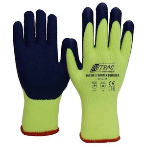 Arbeitshandschuhe | 12 Paar Nitras Winter Blocker Winterhandschuhe | Gr. 8 - 11 - Bild 1 von 5