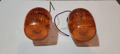 Par de luces de señal de giro indias, lámparas Gilroy 2000 a 2003 Chief Scout Spirit Foto 1 de 4