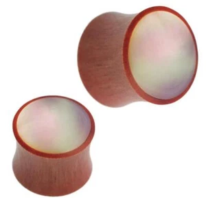 Holz Plug Perlmutt Sawoholz rotbraun weiß schillernd Inlay Muschel - Bild 1 von 2