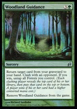 Woodland guidance Foil | EX | Lorwyn | Magic MTG