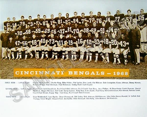 Cincinnati Bengals 1968 primera foto inaugural de equipo 8x10 foto de equipo - Imagen 1 de 1