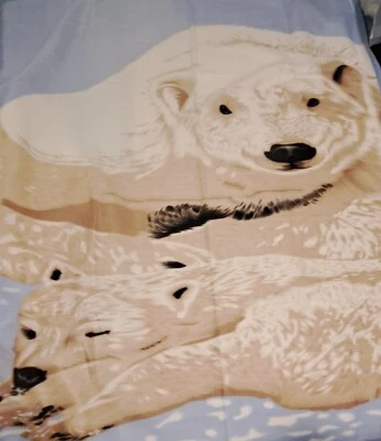 Coperta Plaid Pile Invernale 130x160 Animali Orsi Beige Celeste - Immagine 1 di 3