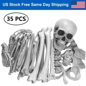 35Pcs Skeleton Bones Skull Graveyard Haunted Houses Scary Props Halloween Decor - Picture 1 of 16