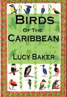 Lucy Baker / Birds of the Caribbean 2008