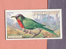 1924 OGDENS CIGARETTES FOREIGN BIRDS COLLECTOR CARD #3 BEE-EATER