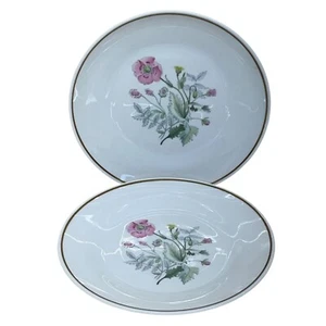 2 Richard Ginori Primavera Pink Floral Salad Plates Italy 8" - Picture 1 of 5