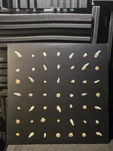 Clipping. – Visions of Bodies Being Burned 4LP Vinyl Box Set Sub Pop 2020 - Picture 1 of 8