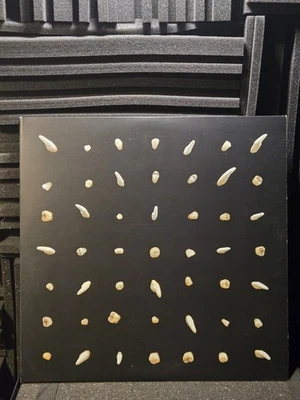 Clipping. – Visions of Bodies Being Burned 4LP Vinyl Box Set Sub Pop 2020 - Image 1 of 4