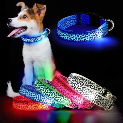NEW Light up LED Dog Collar Adjustable USB Rechargeable Pet Safety Luminous S-XL