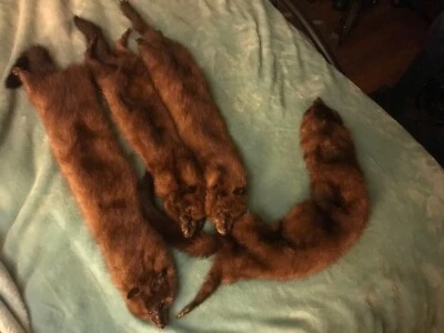 Vintage real mink pelts.  Attachments for a stole added, or can separate pelts.  - Image 1 of 4