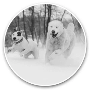 2 x Vinyl Stickers 25cm (bw) - Adorable Happy Dogs in Snow  #38846 - Afbeelding 1 van 8