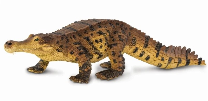 Safari Ltd 100356 Sarcosuchus 10 5/8in Series Dinosaurs Novelty 2020