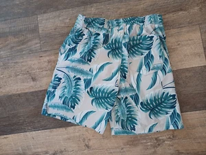 Hurley Men's Size L Blue/Green Elastic Waist Lined Swim Trucks 8" Inseam - Picture 1 of 3