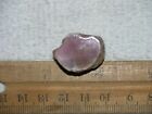Laguna agate geode cut and polished Mexico 1/2 x 1 inch G93