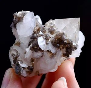 65g Natural Rare Scheelite & Crystal Calcite Mineral Specimen/Yaogangxian China - Picture 1 of 11