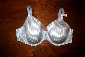 36D ❤️ BODY by Victoria's Secret ❤️ BRA VS ❤️ LINED FULL COVERAGE STRIPED BLUE - Picture 1 of 7