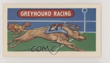 1964 Lamberts Sports and Games Greyhound Racing #14