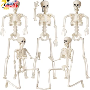 5er Pack Skelette Halloween Dekoration 16" Kunststoff Ganzkörper Einweg Skelett Wi - Bild 1 von 12