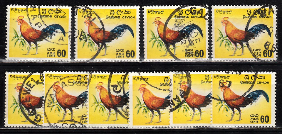CEYLON 1964 BIRD JUNGLE FOWL WHOLESALE LOT OF 10 SCOTT 377 USED - Image 1 of 1