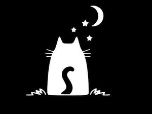 LINDA CALCOMANÍA DE VINILO CAT STARS AND MOON pegatina de coche camión de pared ELIGE EL TAMAÑO COLOR - Imagen 1 de 2