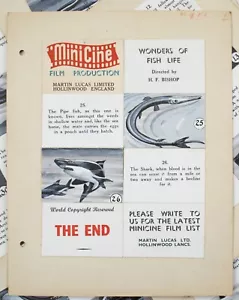 Minicine. "Wonders of Fish Life" 13 Original Storyboards. Martin Lucas. - Bild 1 von 7