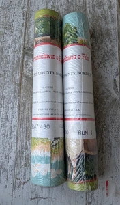2 Vtg Rolls Brunschwig & Fils Hand Printed Wallpaper Border Bucks County Farm - Picture 1 of 21