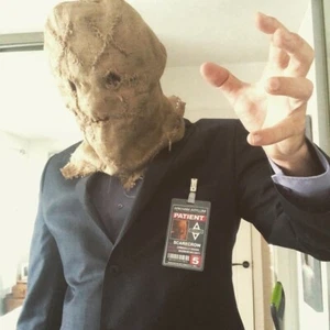 BATMAN Scarecrow Mask. - Picture 1 of 4