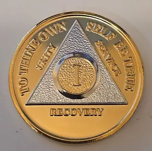 AA COIN - 1 YEAR, Gold / Silver - Picture 1 of 2